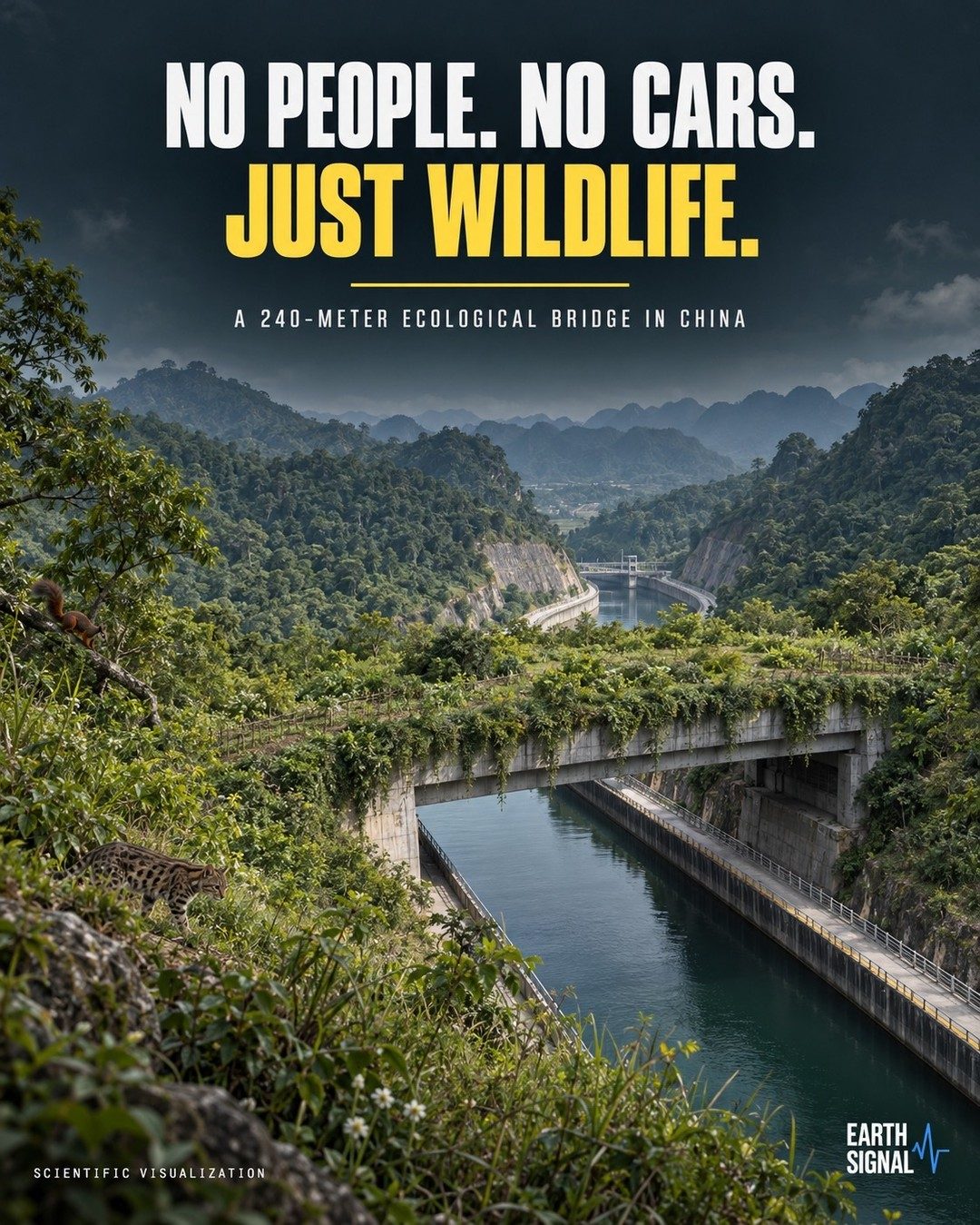 China's 240-Meter Wildlife Bridge: Pinglu Canal