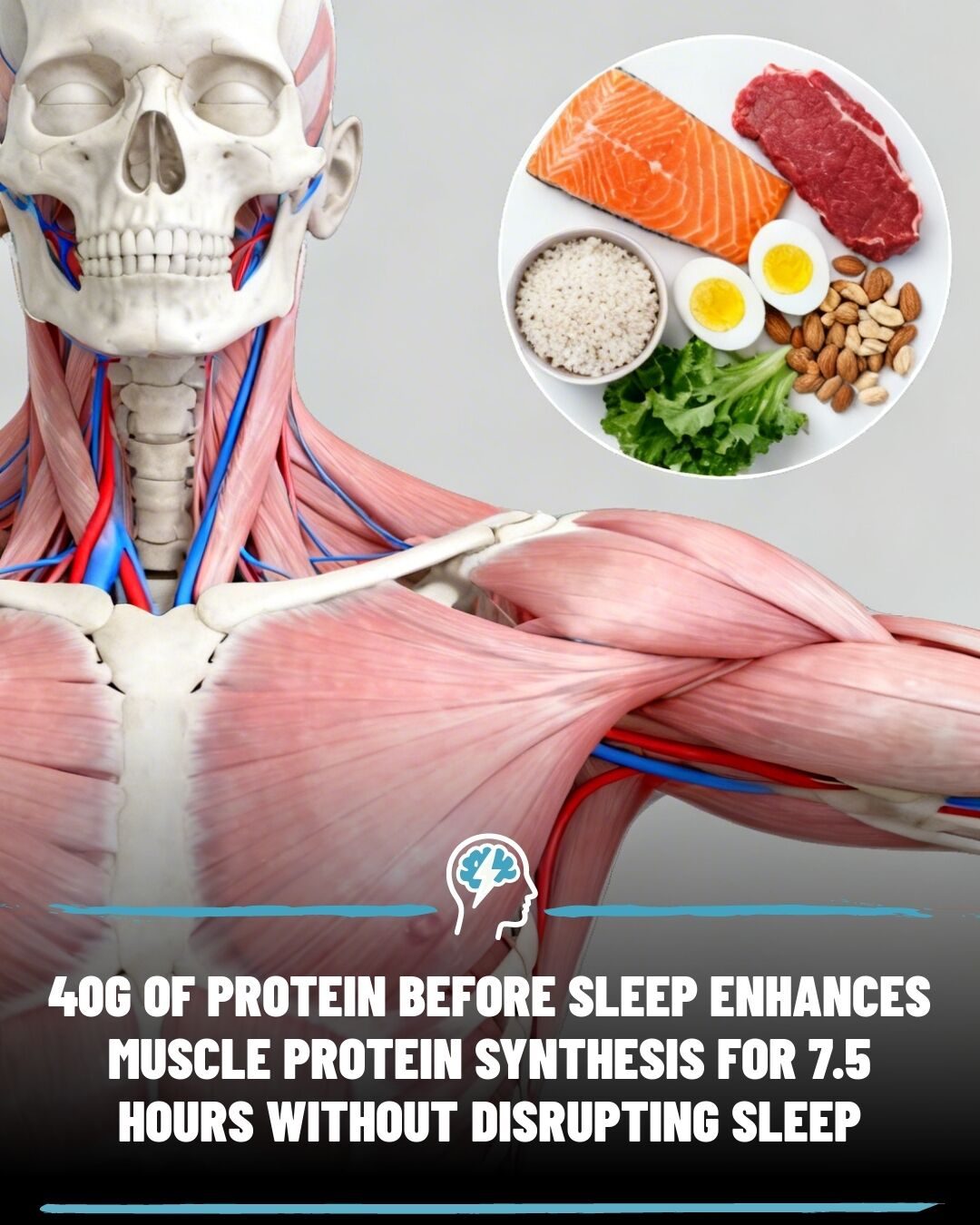 Pre-Sleep Protein: Does It Enhance Muscle Growth?