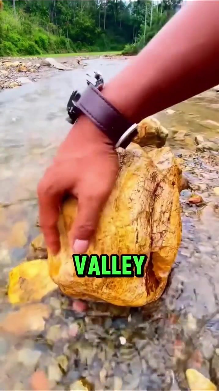 The Truth Behind Staged Gold Panning Videos