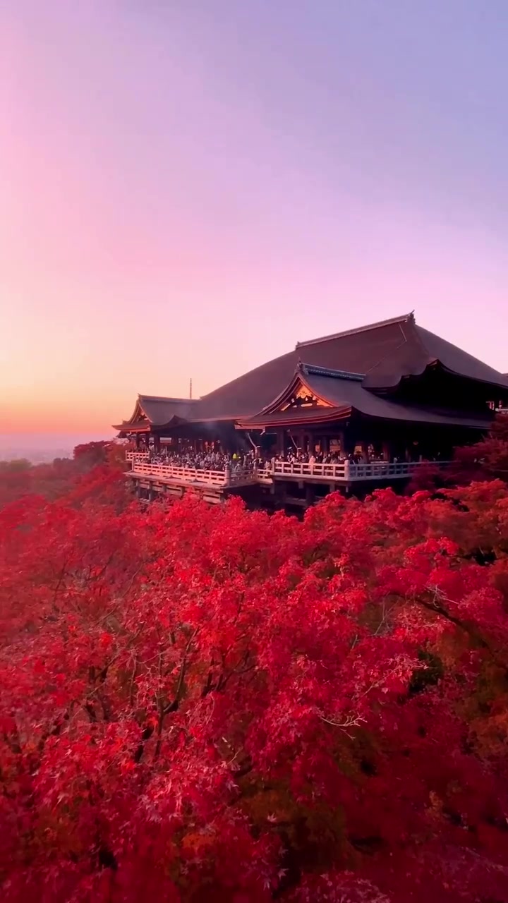 Kyoto Autumn Foliage: Temples and Scenery