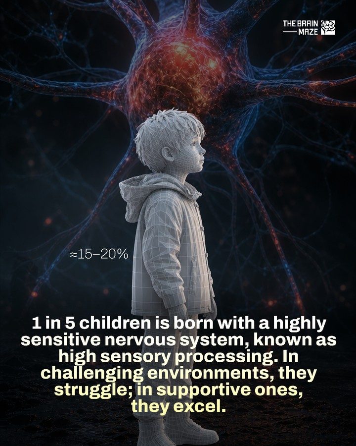 Understanding High Sensory Processing Sensitivity in Kids
