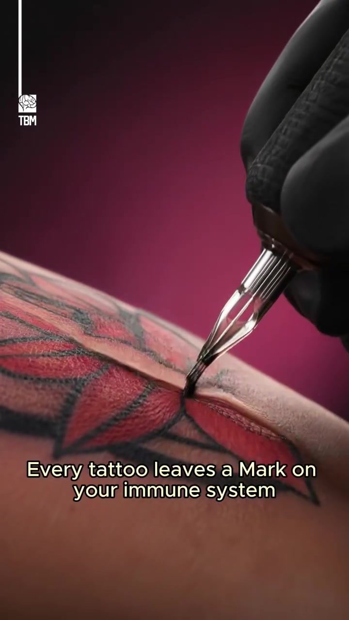 How Tattoos Affect Your Immune System and Long-Term Health