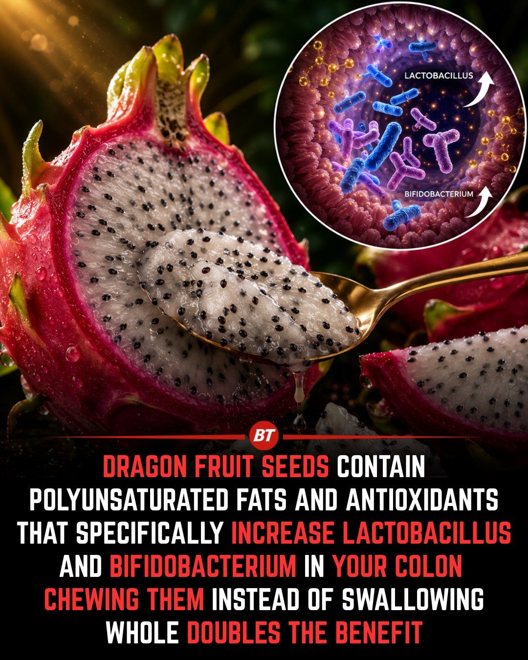 Dragon Fruit Seeds: Boost Gut Health by Chewing