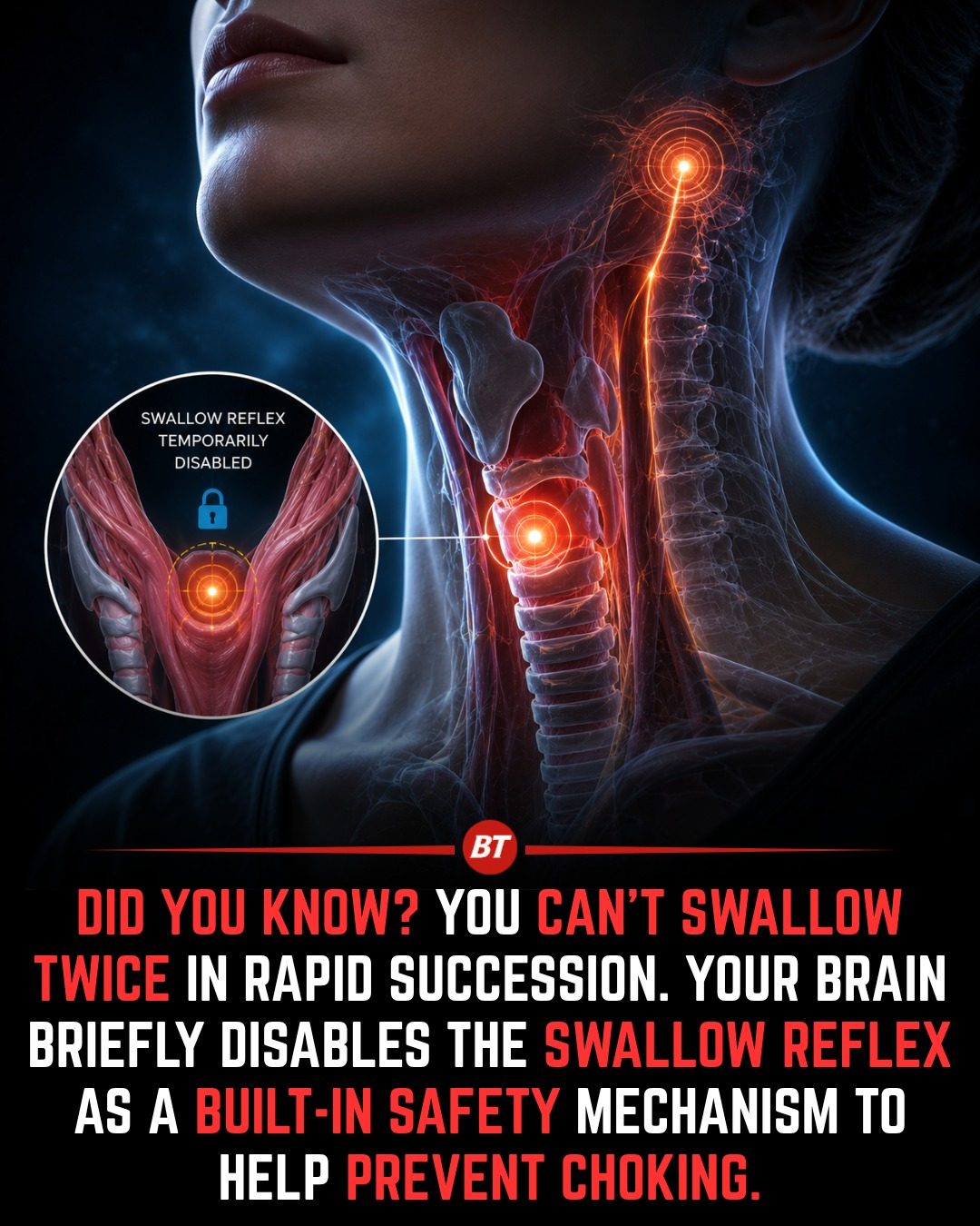 Understanding the Swallowing Reflex: A Built-In Safety Mechanism