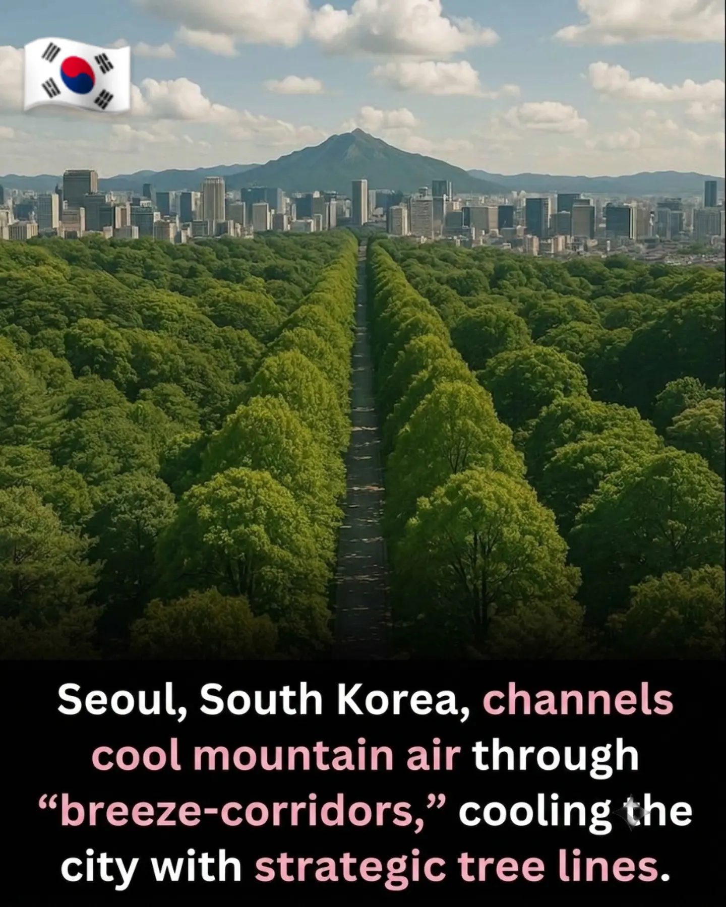 Seoul's Smart Urban Forestry: Breeze Corridors Beat the Heat