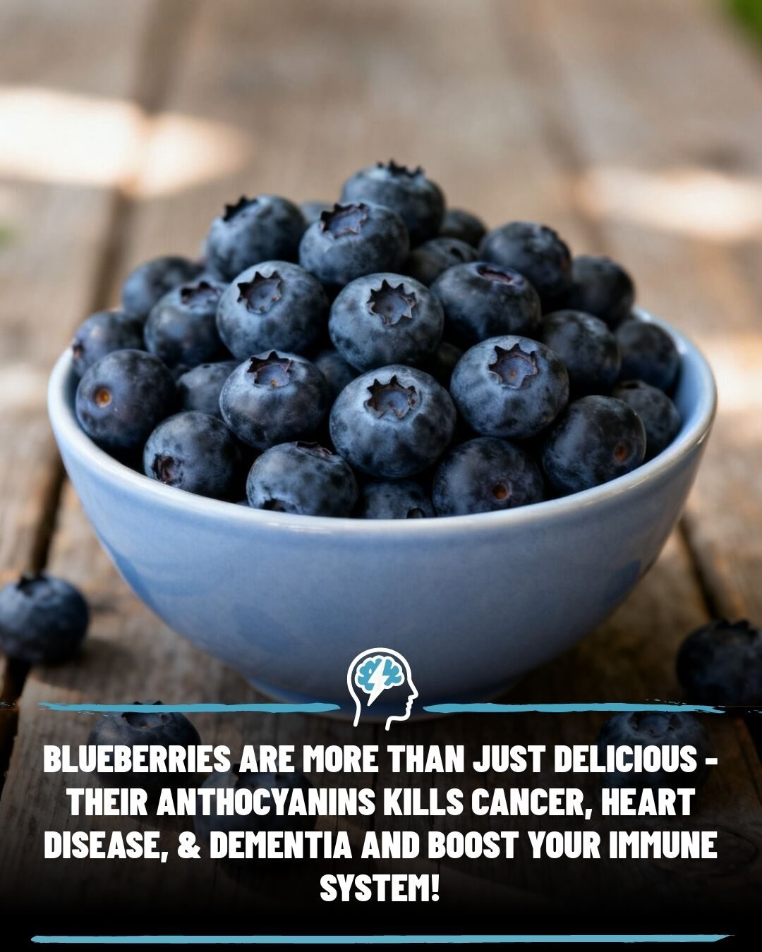 Blueberries' Amazing Health Benefits
