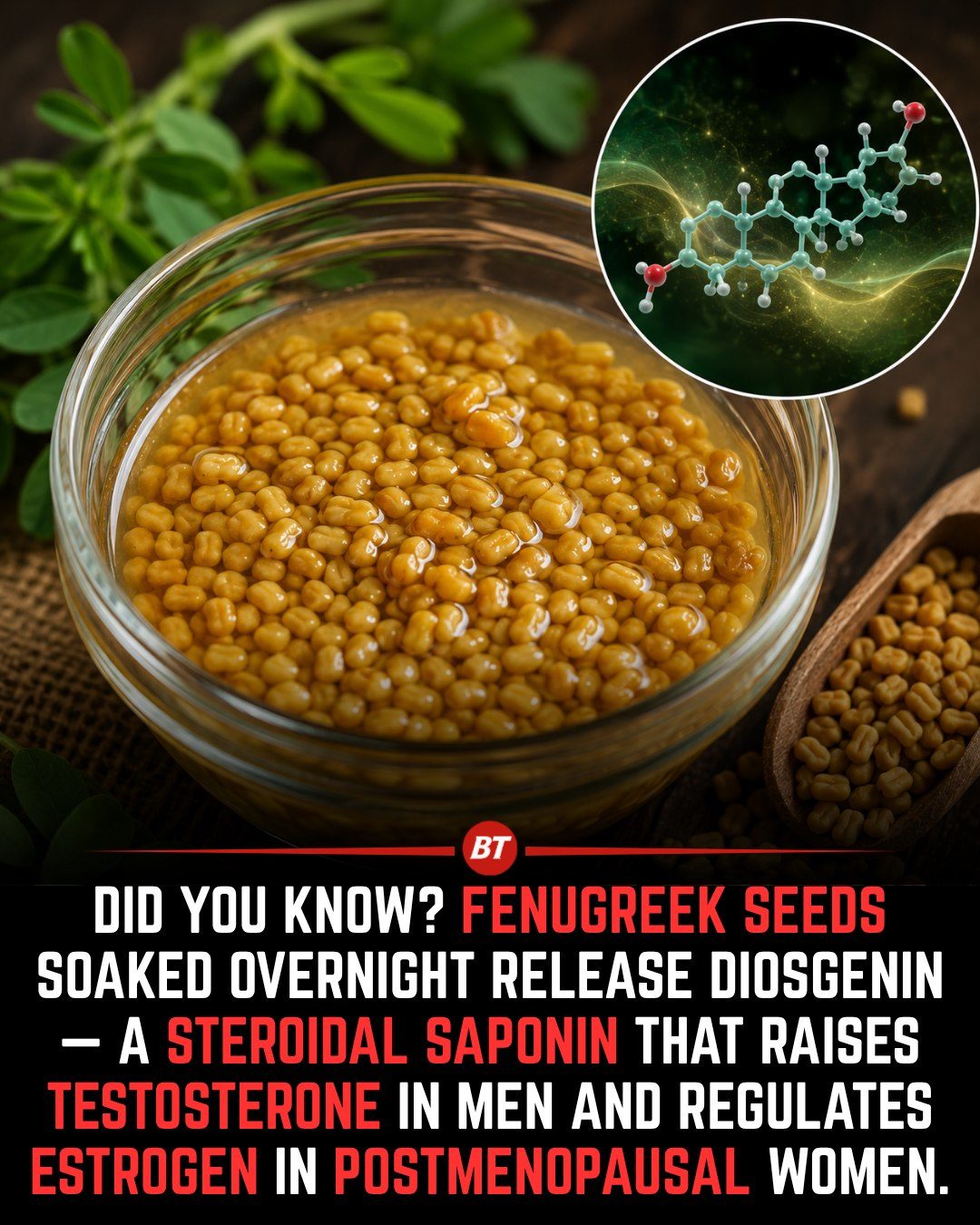 Fenugreek Seeds: Hormone-Boosting Benefits of Overnight Soaking
