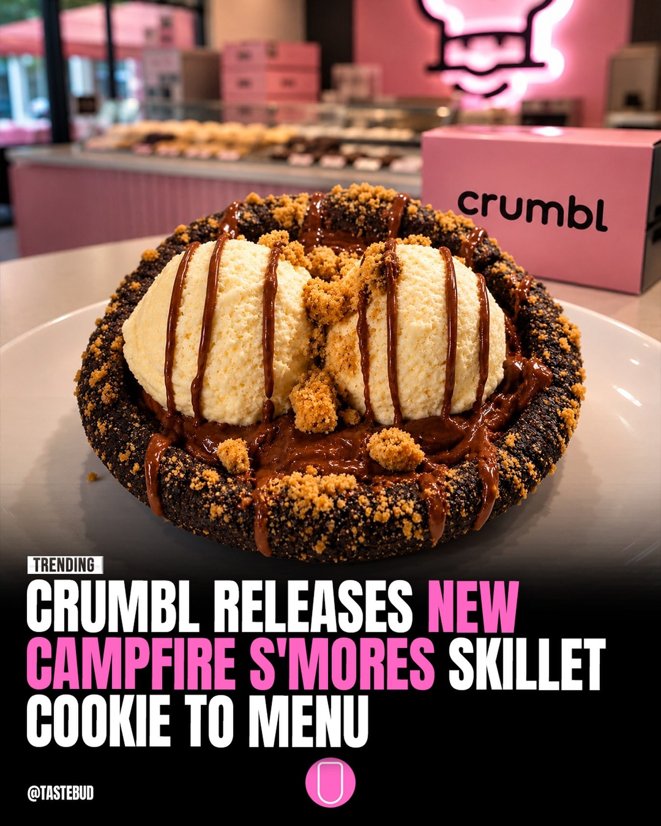 TastebudCrumbl's New Campfire Skillet Cookie: S'mores in a Cookie