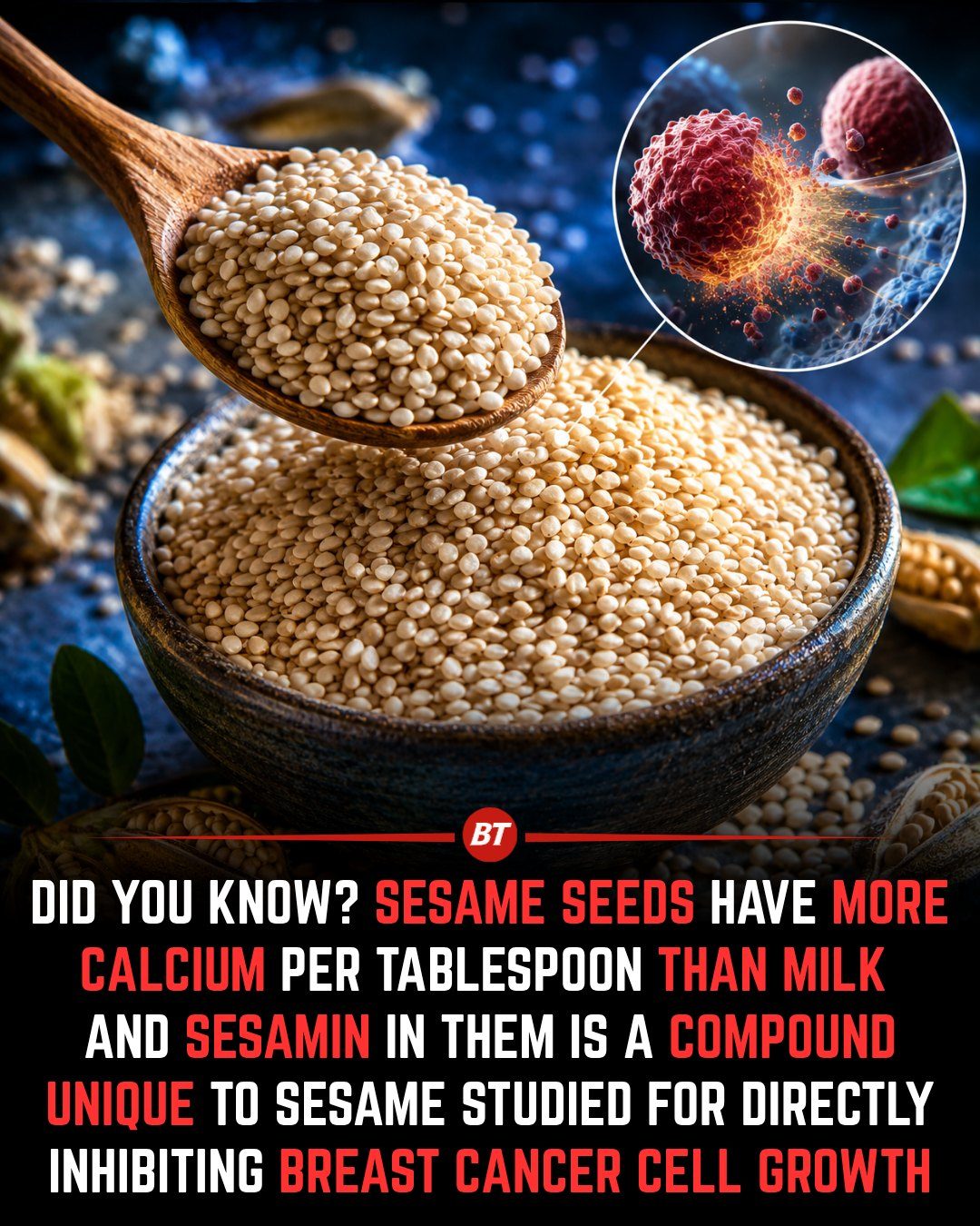Why Sesame Seeds Are a Calcium Powerhouse