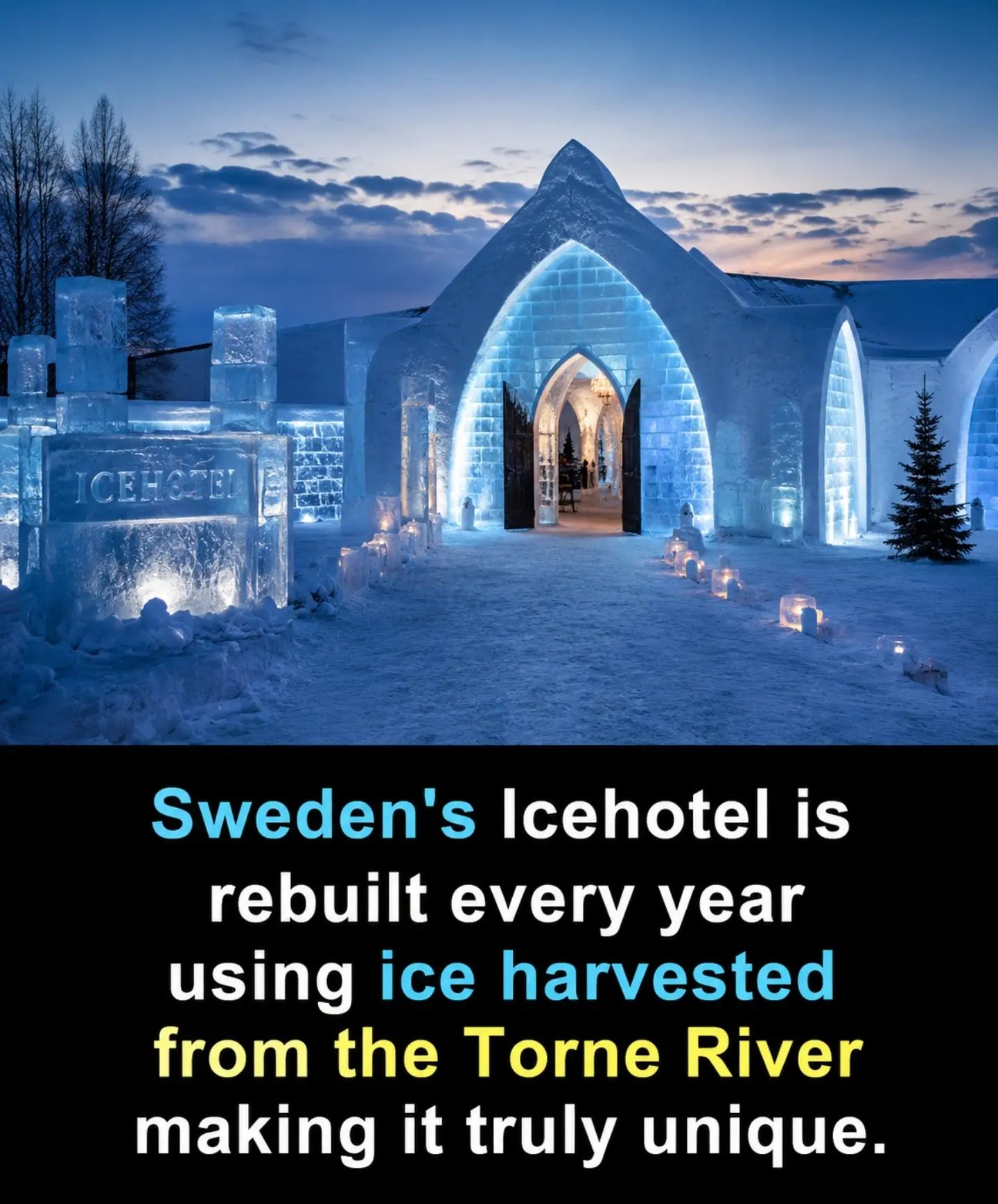 Experience the Magic: Icehotel Sweden's Annual Winter Wonder
