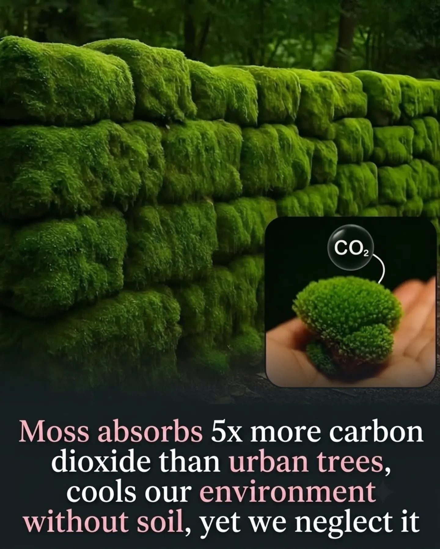 Moss: Urban CO2 Absorber and Eco-Cooler
