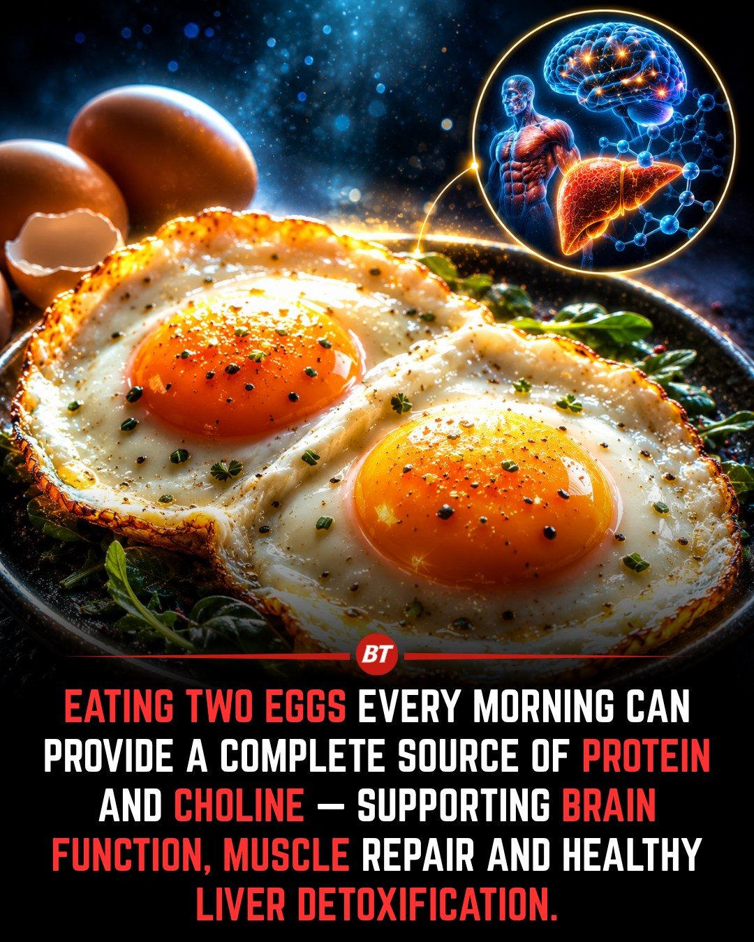 Eating Two Eggs a Day: How It Boosts Brain, Muscle, and Liver Health