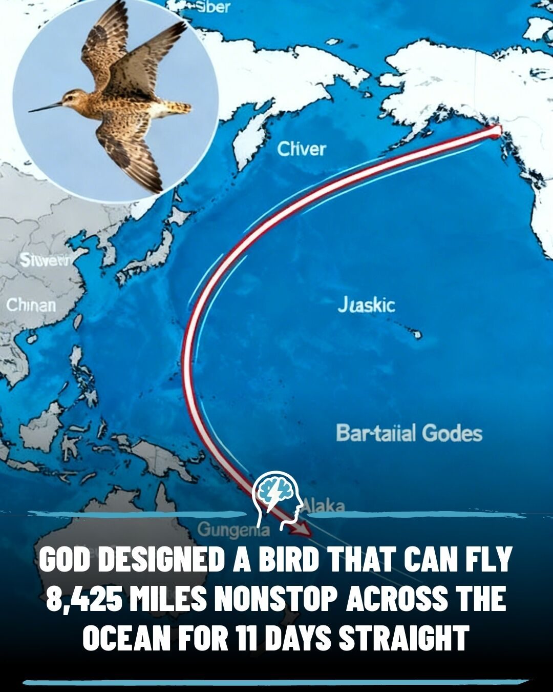 The Incredible 8,425-Mile Nonstop Flight of a Juvenile Bird