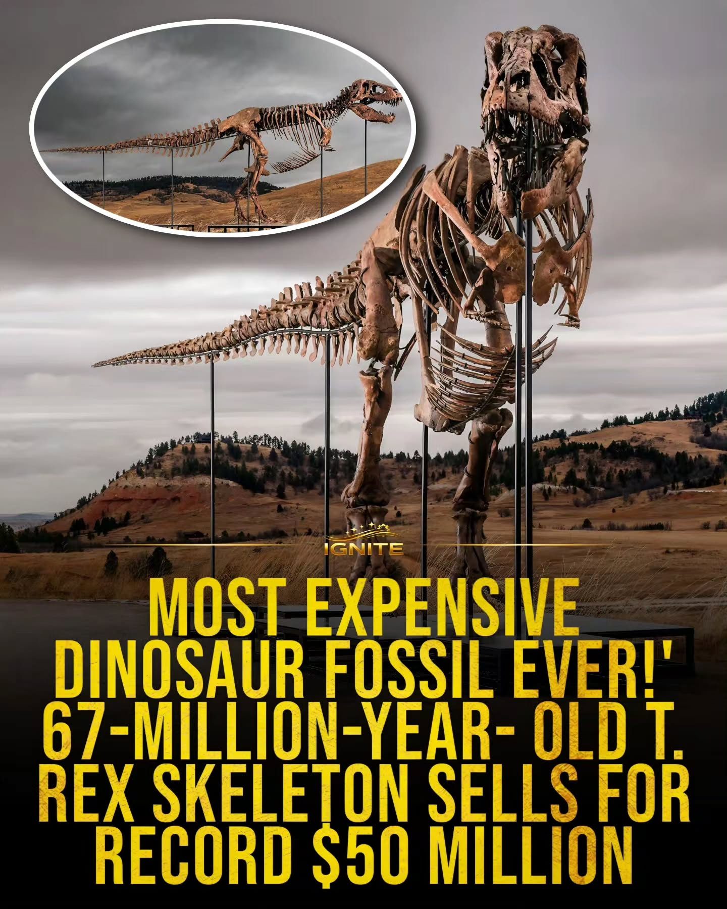 The Most Expensive Dinosaur Fossil Ever Sold for $50 Million