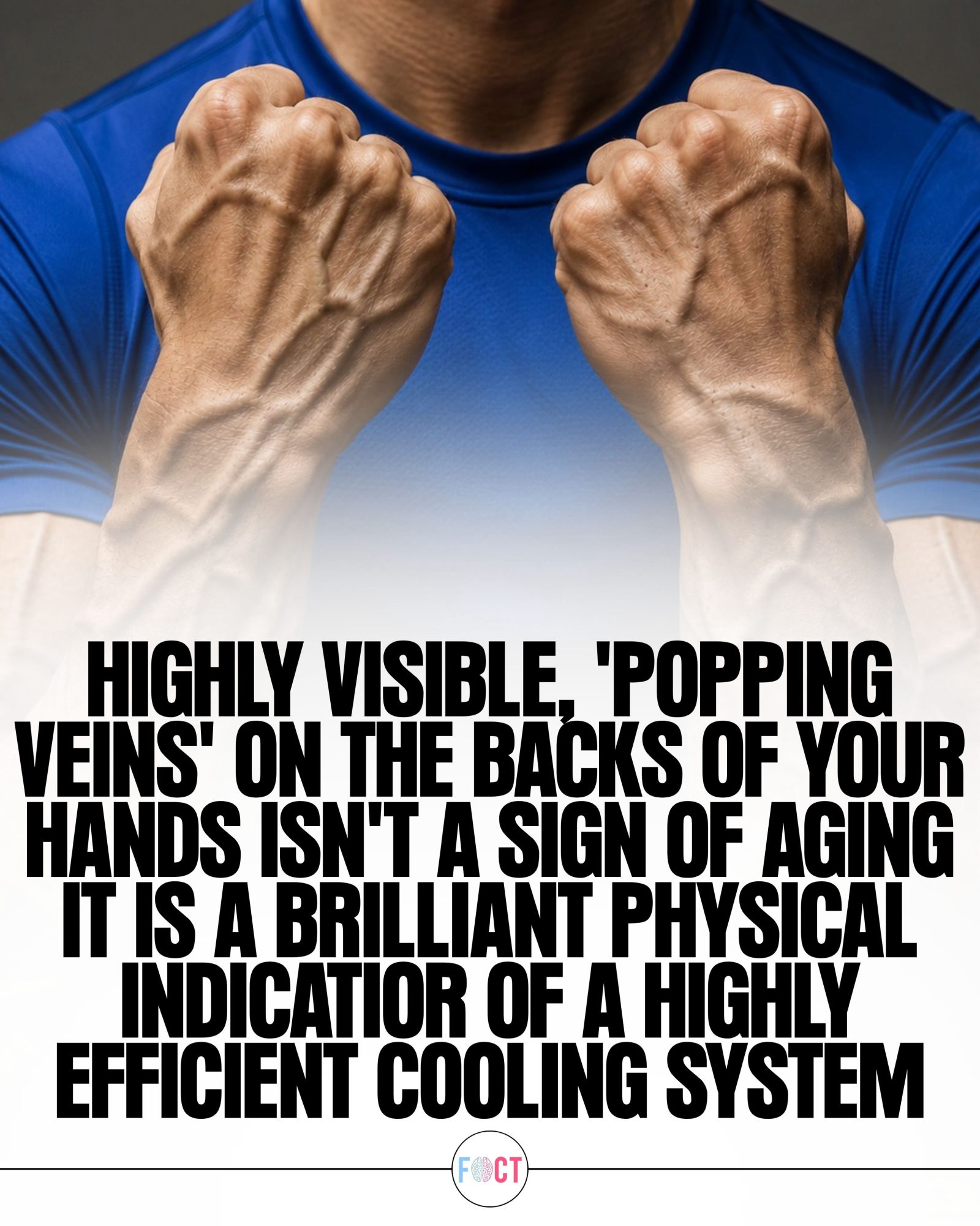 Visible Veins on Hands: Sign of Aging or Cooling Efficiency?