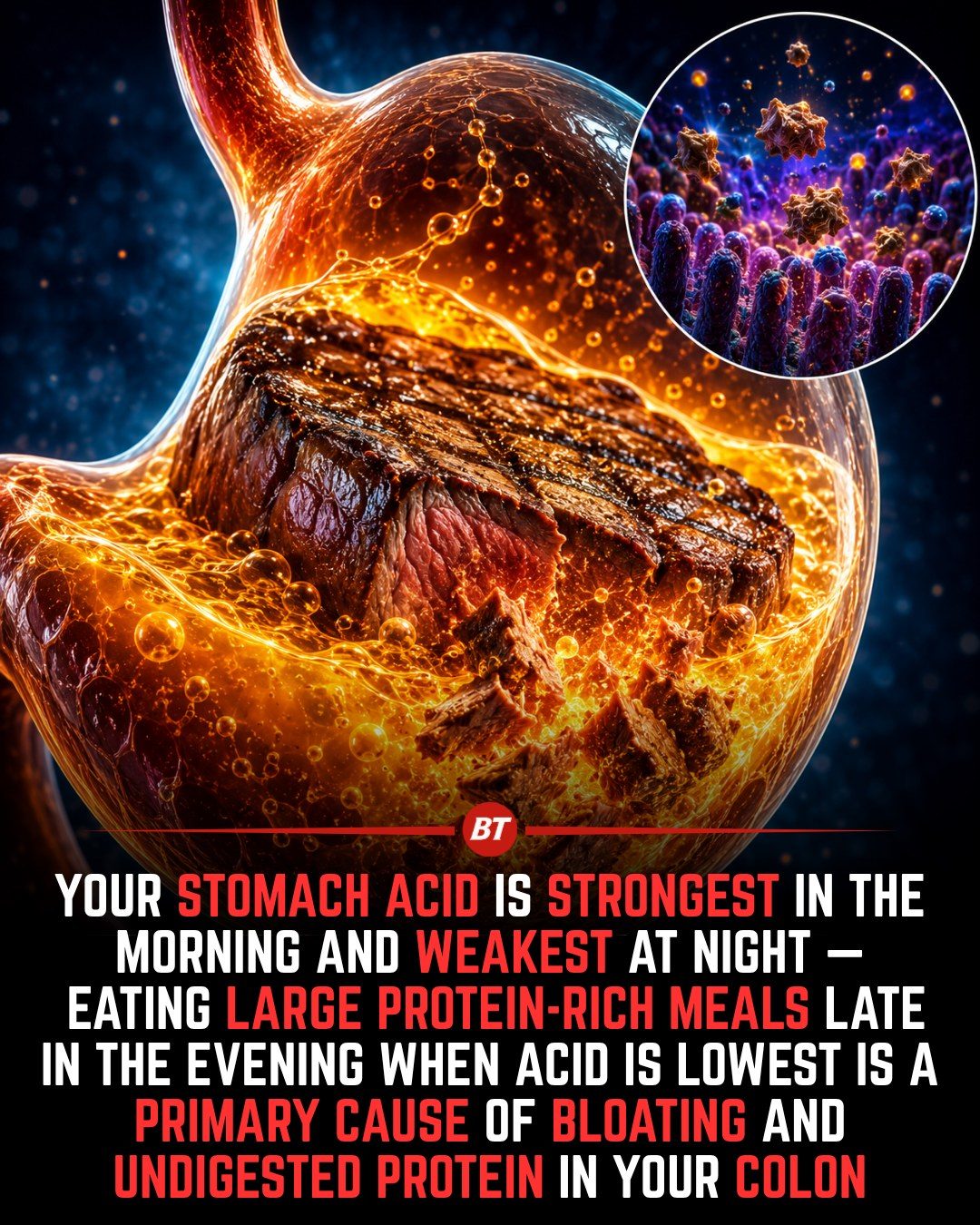 Learn How Stomach Acid Affects Nighttime Meal Digestion