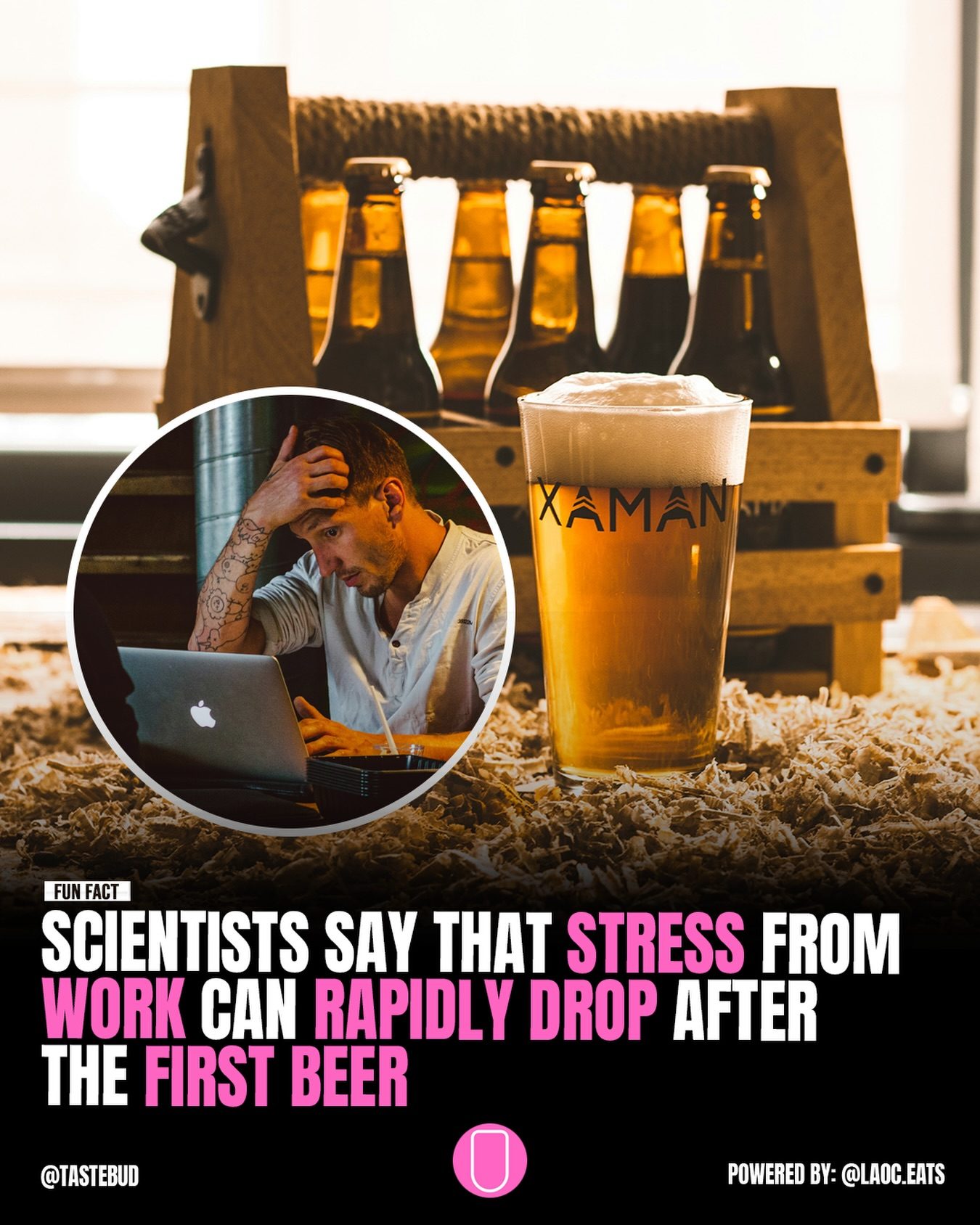 Stress Relief and Beer: A Fun Fact with Xaman