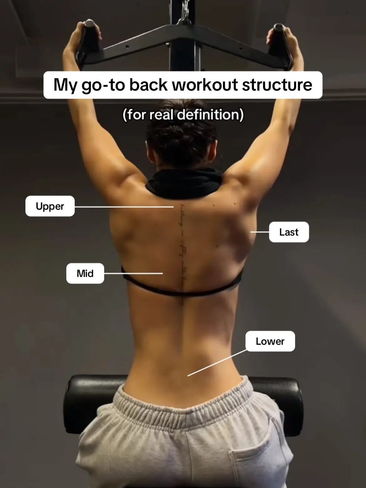 The Ultimate Guide to Structuring Your Back Workout for Maximum Results