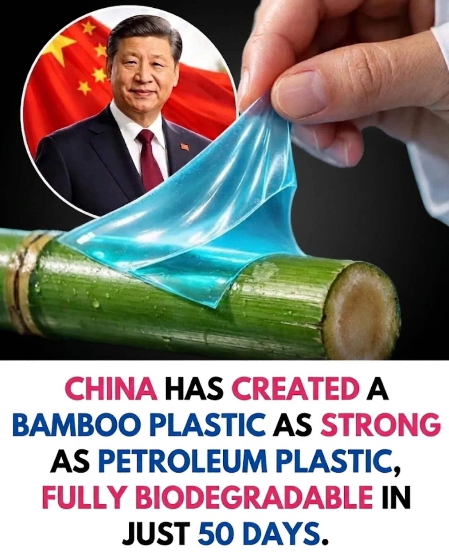 China's Eco-Friendly Bamboo Plastic: Strong and 50-Day Biodegradable