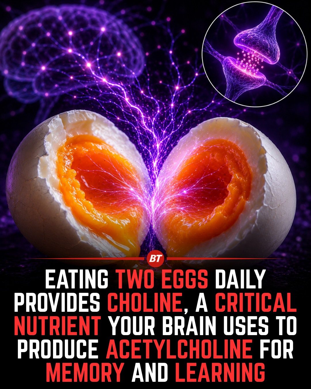 Eggs' Choline Content: How Two Eggs a Day Boost Brain Health