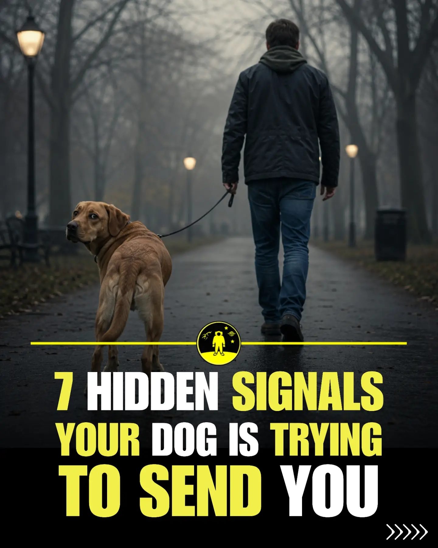 Decoding 7 Hidden Dog Body Language Signs