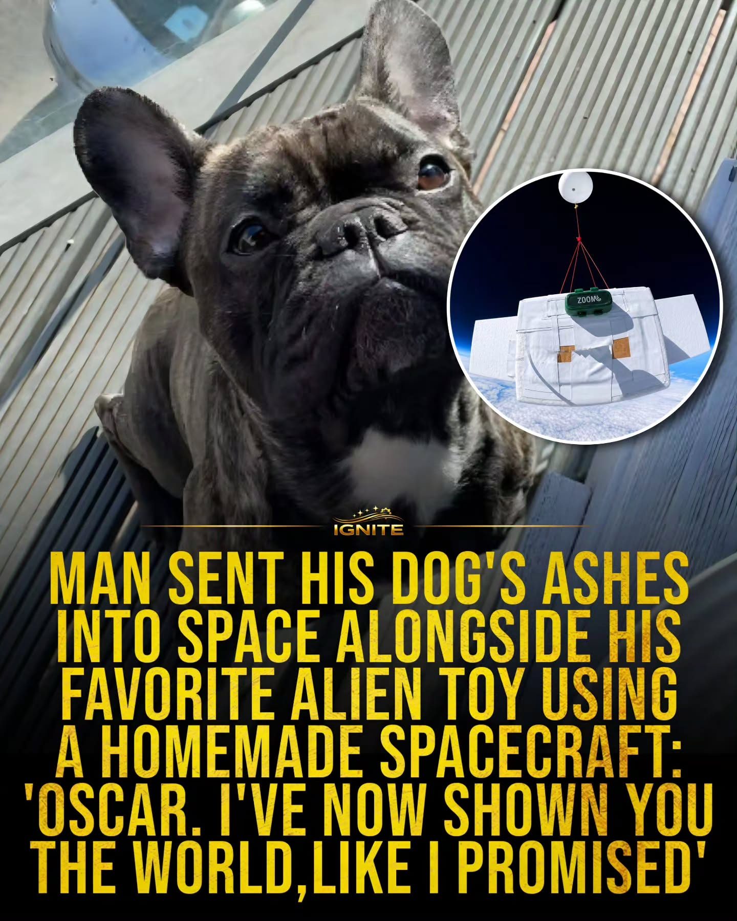 A Man's Homemade Spacecraft Sends Dog's Ashes to Space