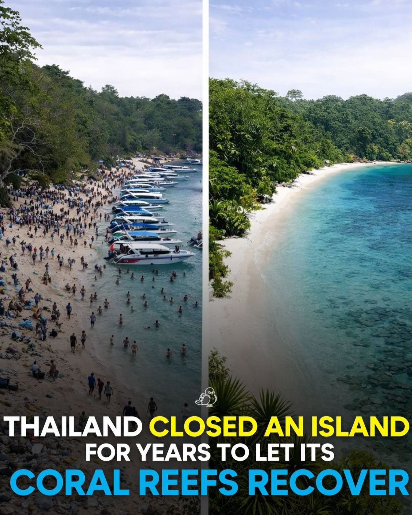 Thailand's Island Reef Recovery: Success After Tourism Pause