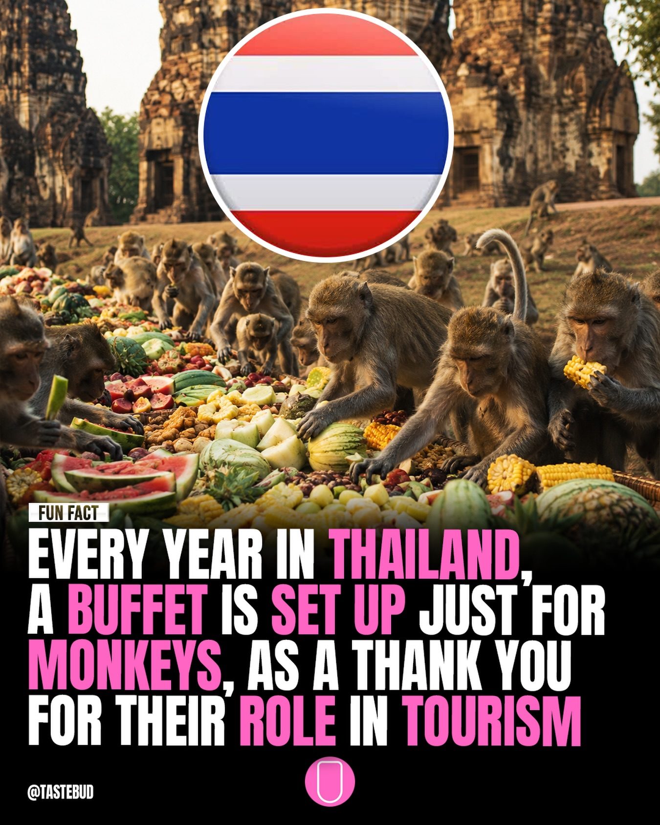 Thailand's Unique Monkey Buffet Festival: Honoring Tourism's Furry Allies