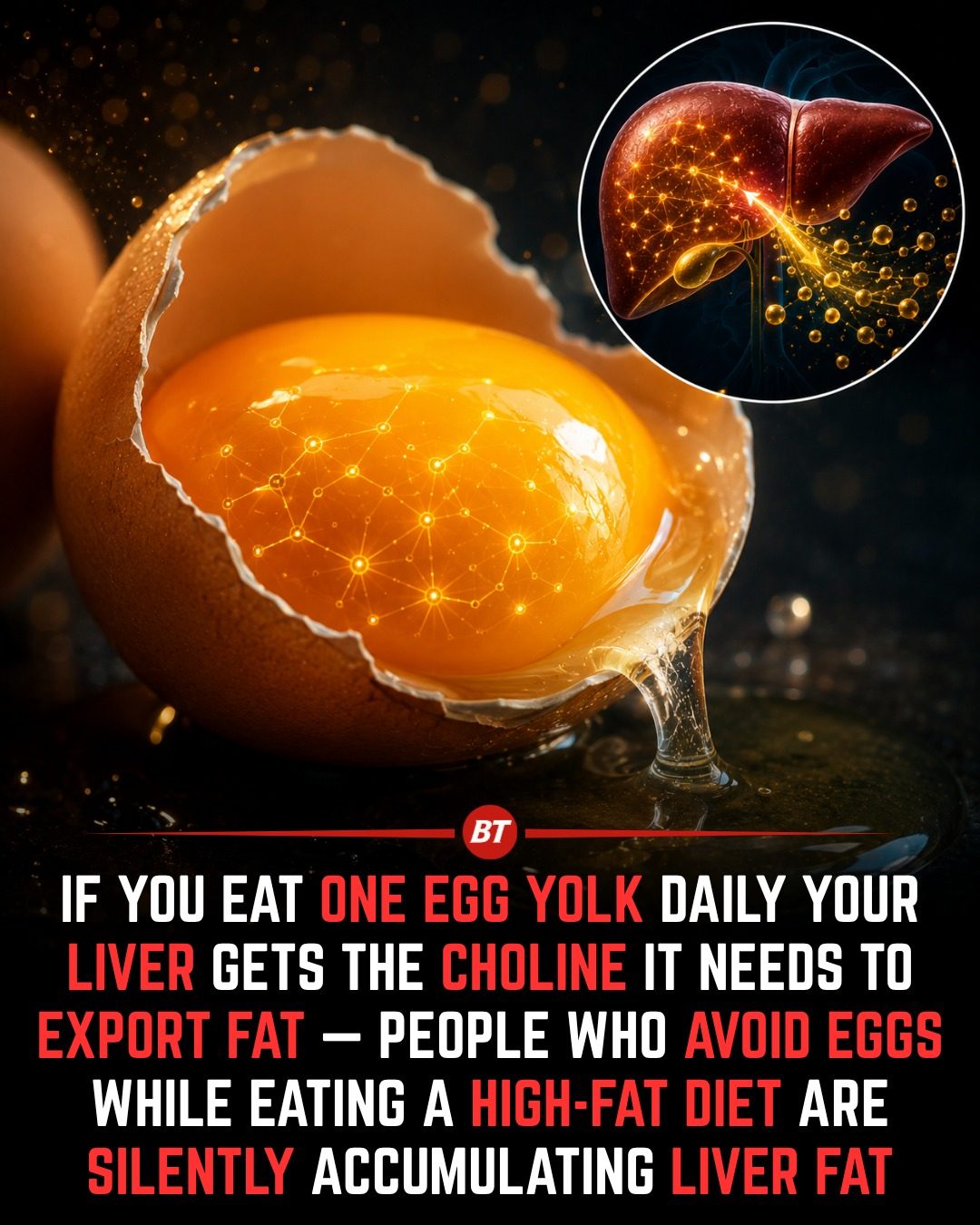 Egg Yolks: A Hidden Gem for Liver Health