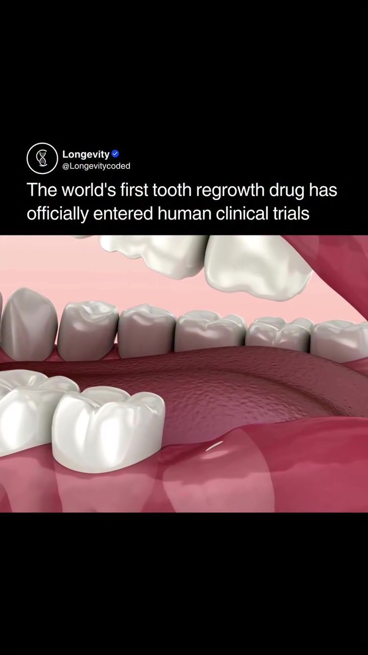 Revolutionary Tooth Regrowth Drug Enters Human Trials