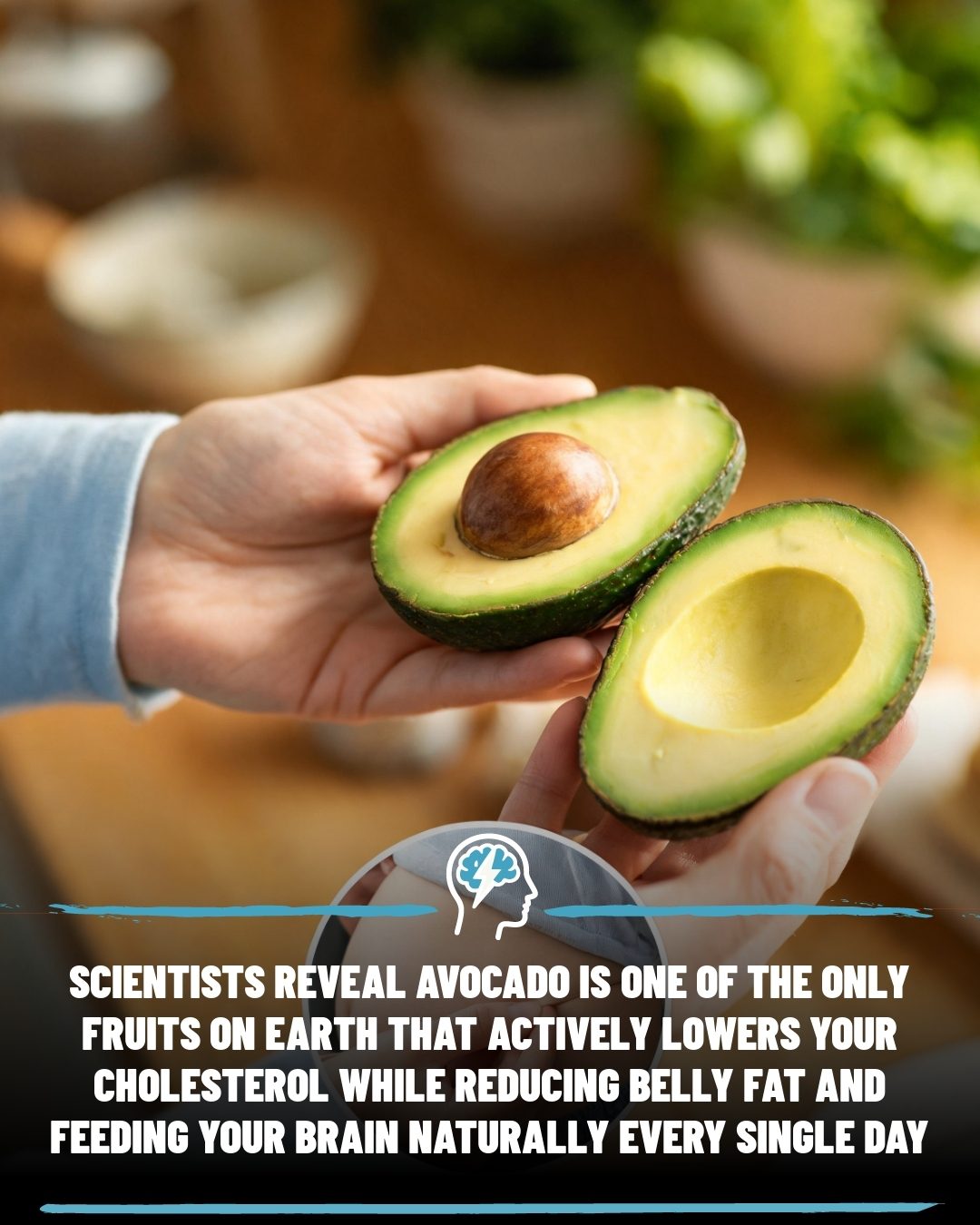 Avocados' Health Benefits: Lower Cholesterol, Trim Waistline