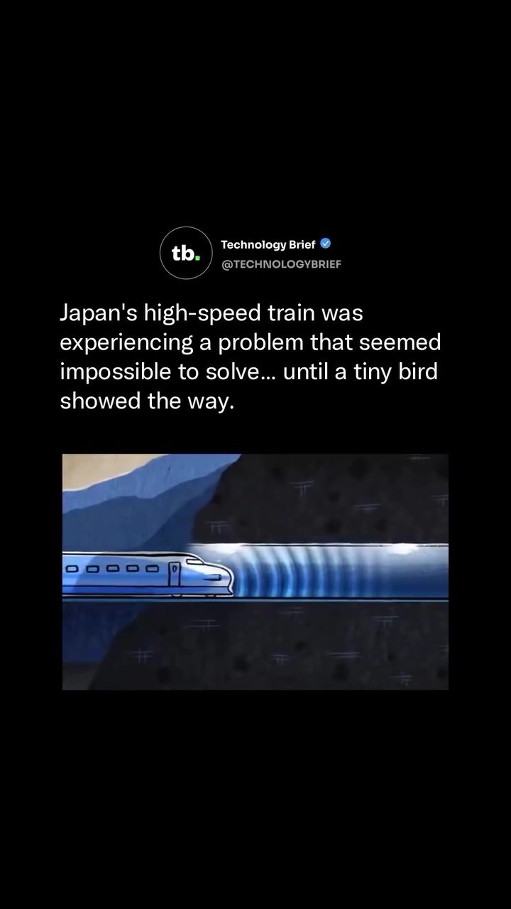 How a Tiny Bird Inspired a Quieter, Faster High-Speed Train