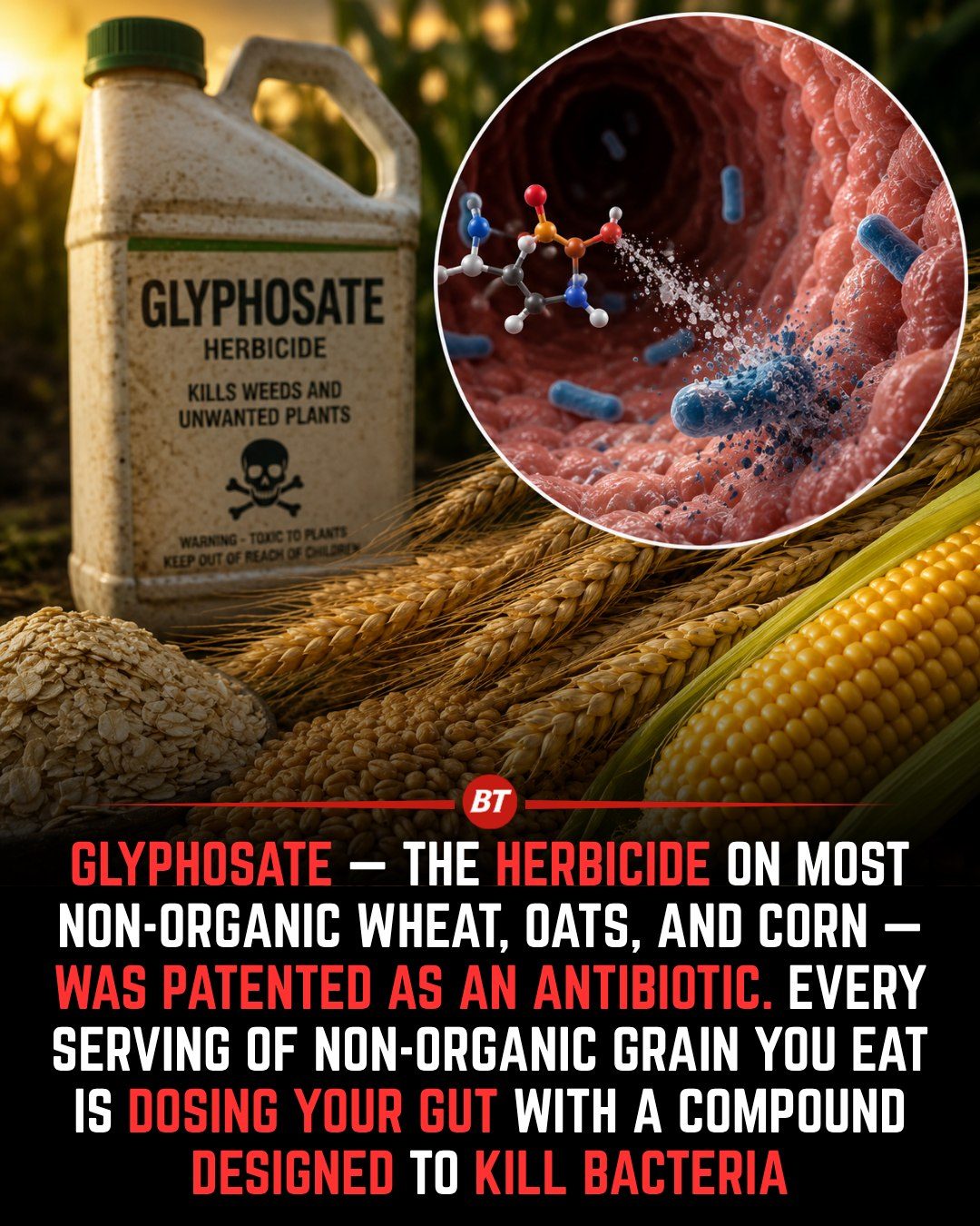 Glyphosate in Your Food: Health Concerns and Organic Alternatives