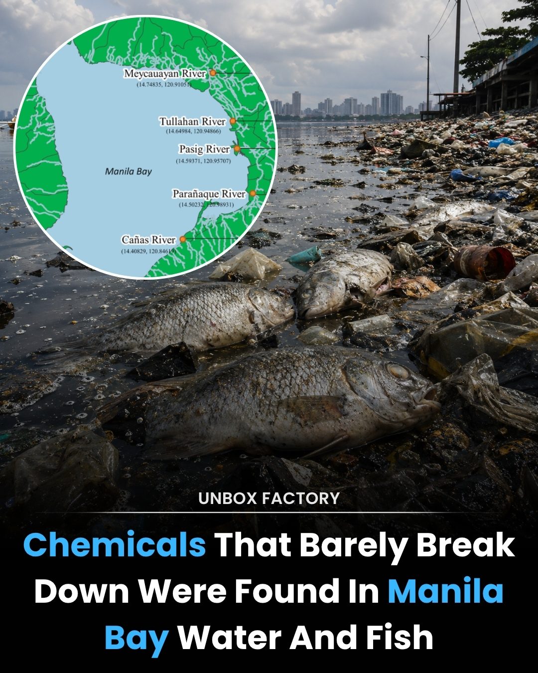 PFAS Pollution Threatens Manila Bay's Waters and Wildlife