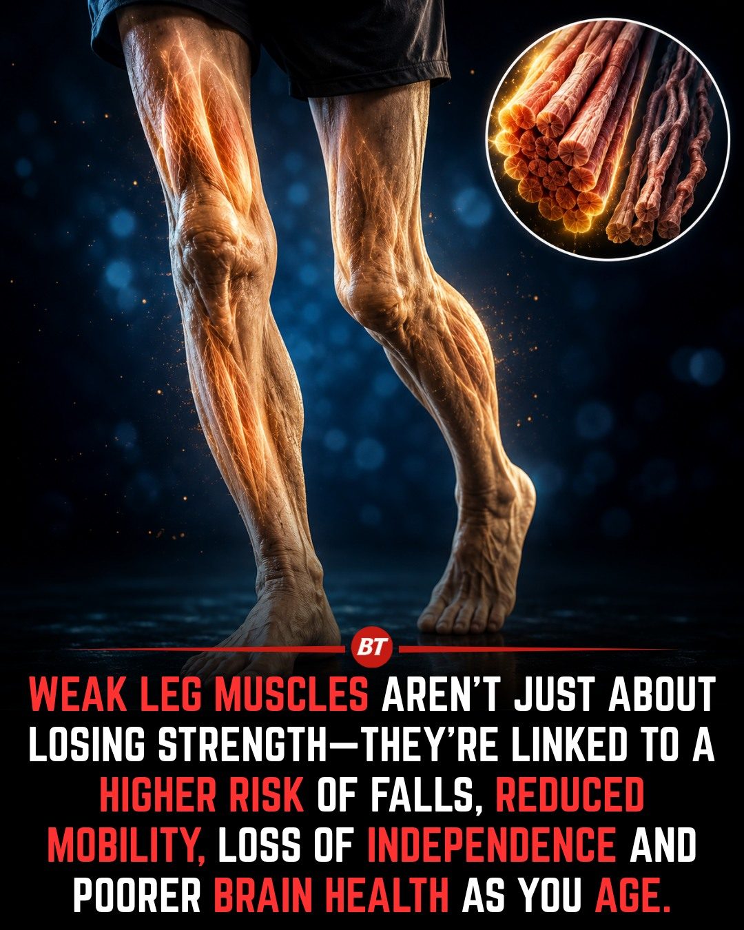 Leg Strength: Key to Mobility, Independence, and Brain Health