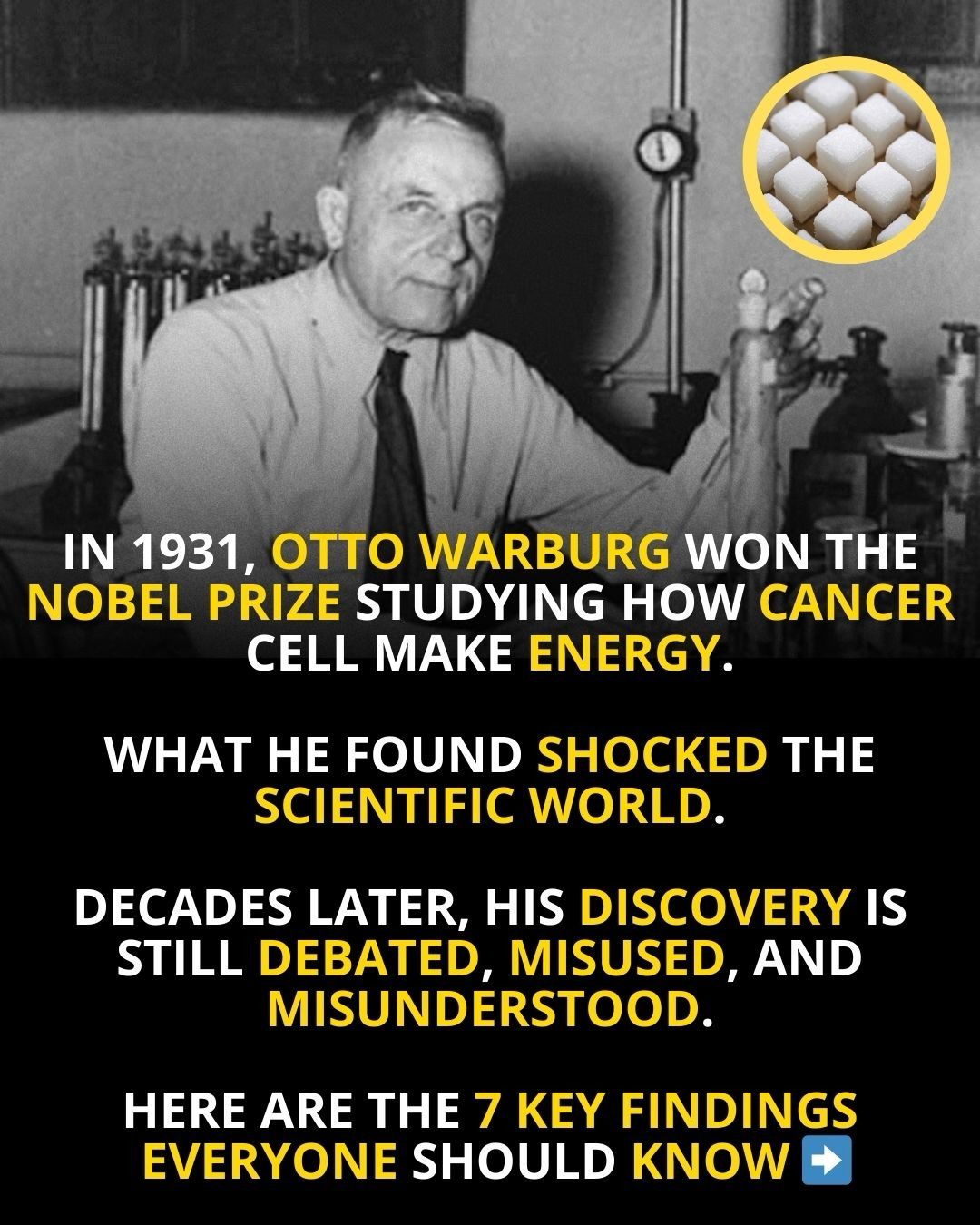 Otto Warburg's Nobel Prize: Debunking Cancer Myths