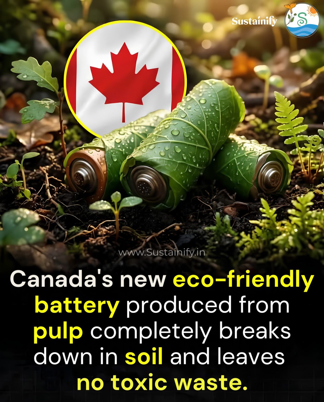 UBC's Revolutionary Biodegradable Battery