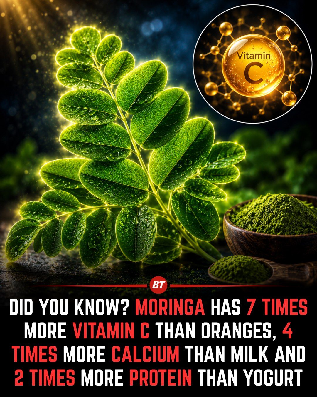 Moringa's Nutritional Power: Why It's More Than a Trend