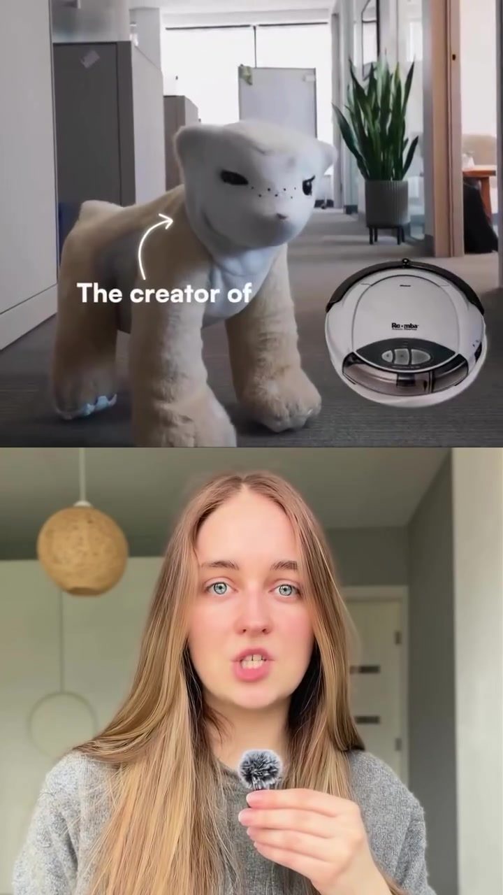 Furry AI Bear: The New Home Companion