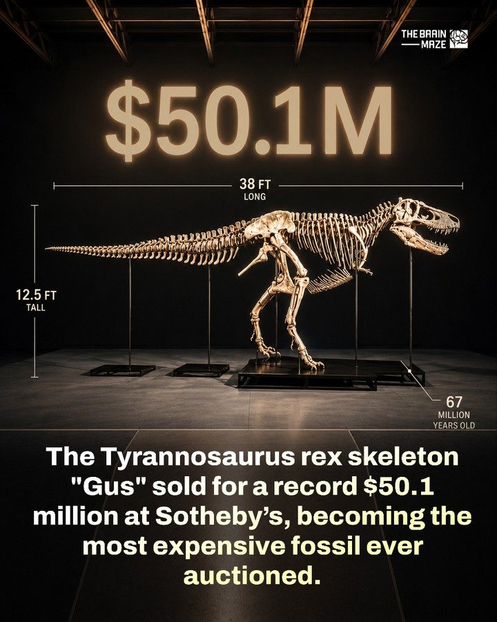 T. Rex Skeleton "Gus" Sold for Record $50.1 Million