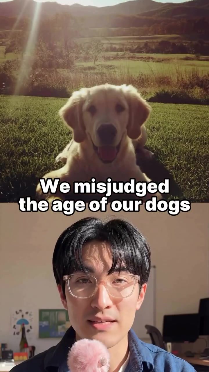 The Myth of Dog Years: How Genetics Shifts Our Understanding