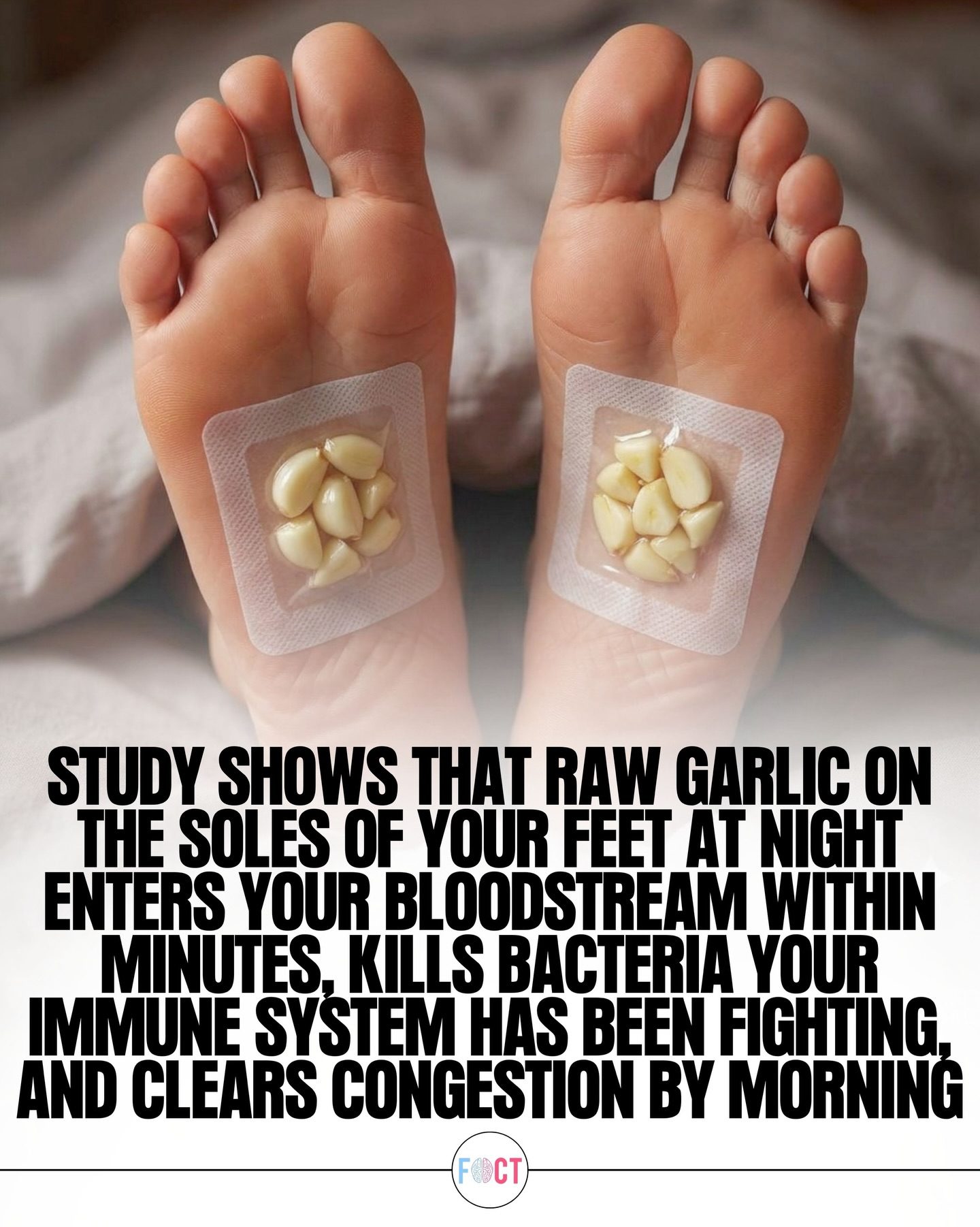 The Benefits of Garlic Foot Patches for Immune Support and Respiratory Health