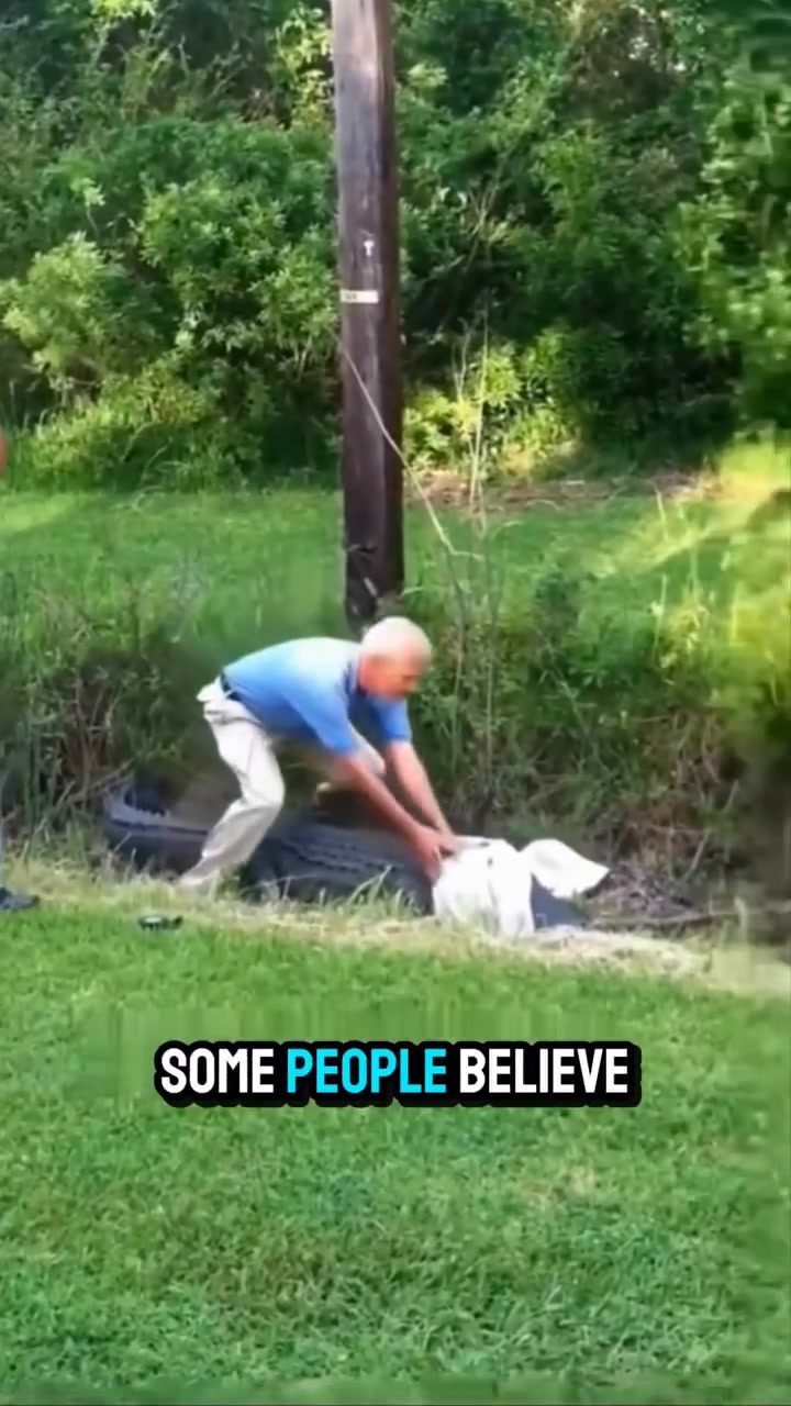Zookeepers' Secret to Calming Crocodiles