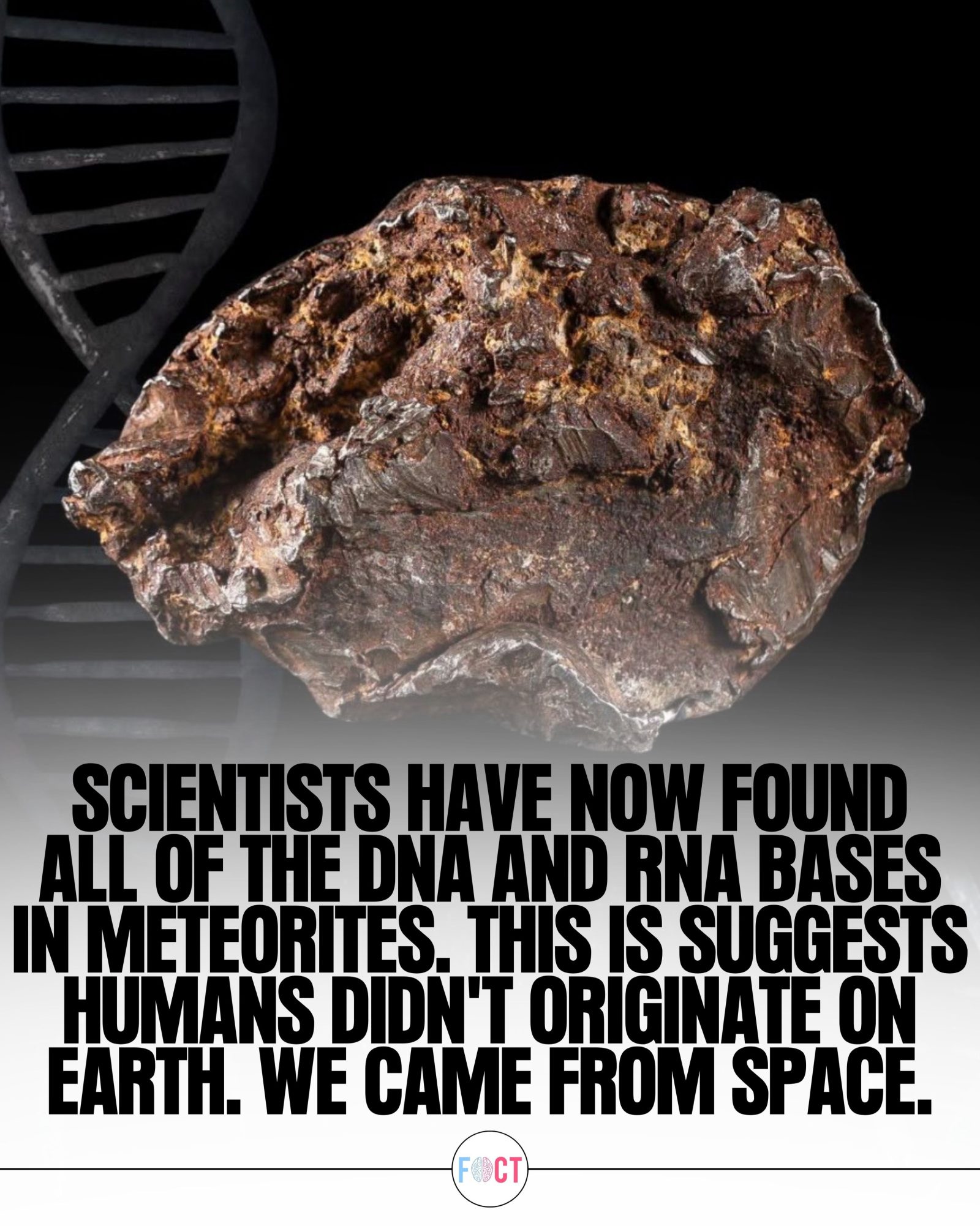 Meteorites and the Building Blocks of Life Discovered