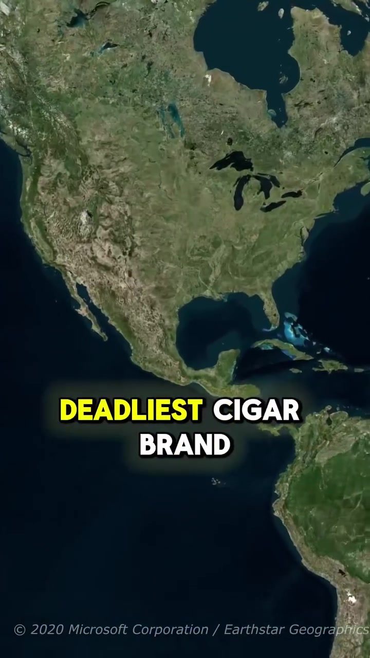 Learn the Deadliest Cigar Brands in the U.S.