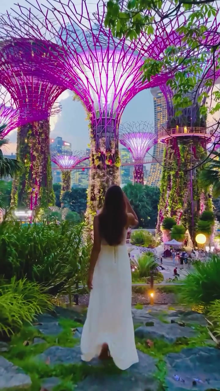 Gardens by the Bay: Singapore's Iconic Supertrees