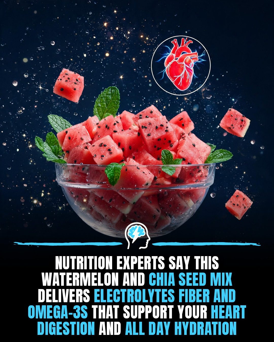 Watermelon and Chia Seed Hydration Mix: Nourish and Hydrate
