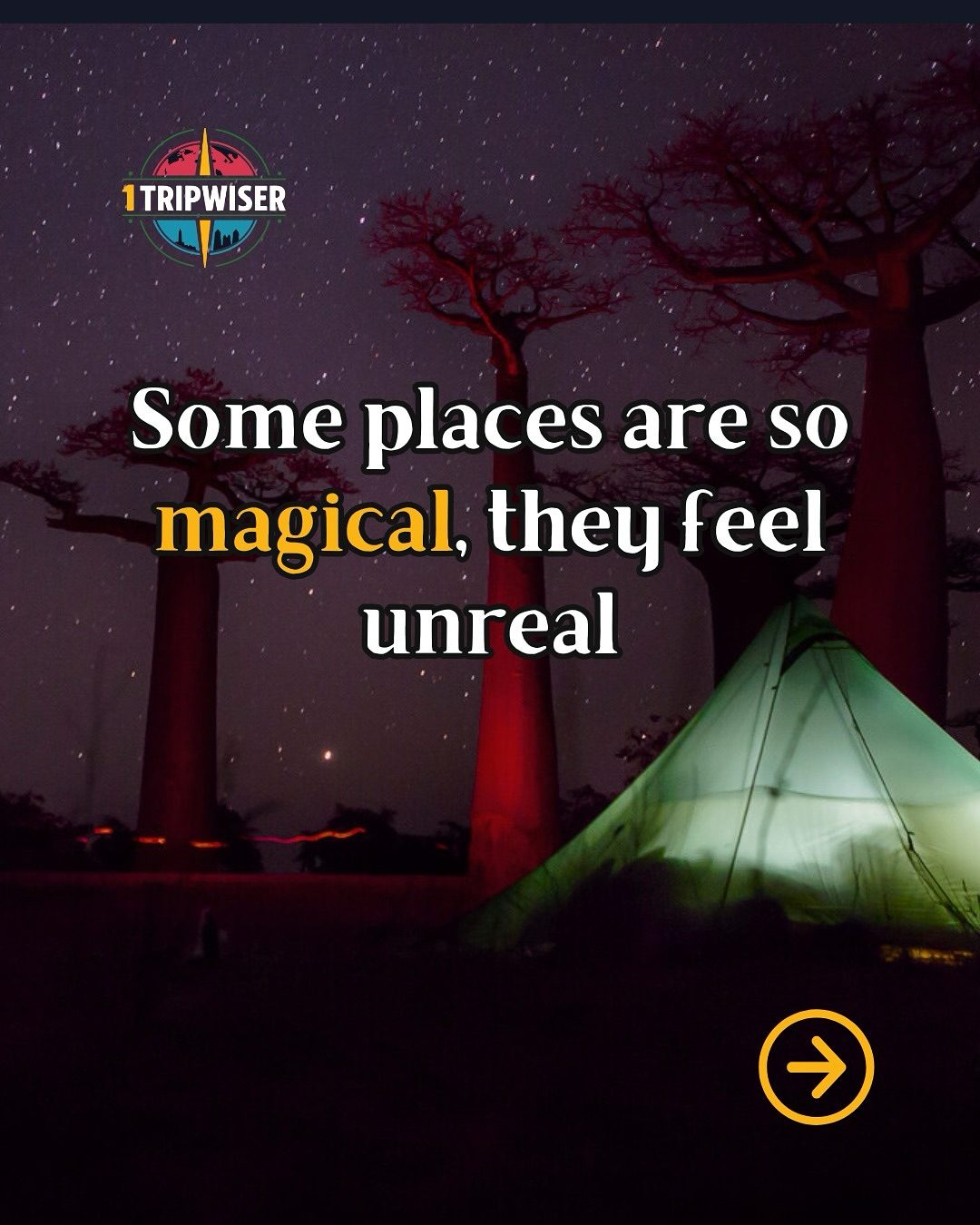 Discover 5 Magical Camping Spots: New Zealand's Glowworms, Utah's Salt Flats, and More