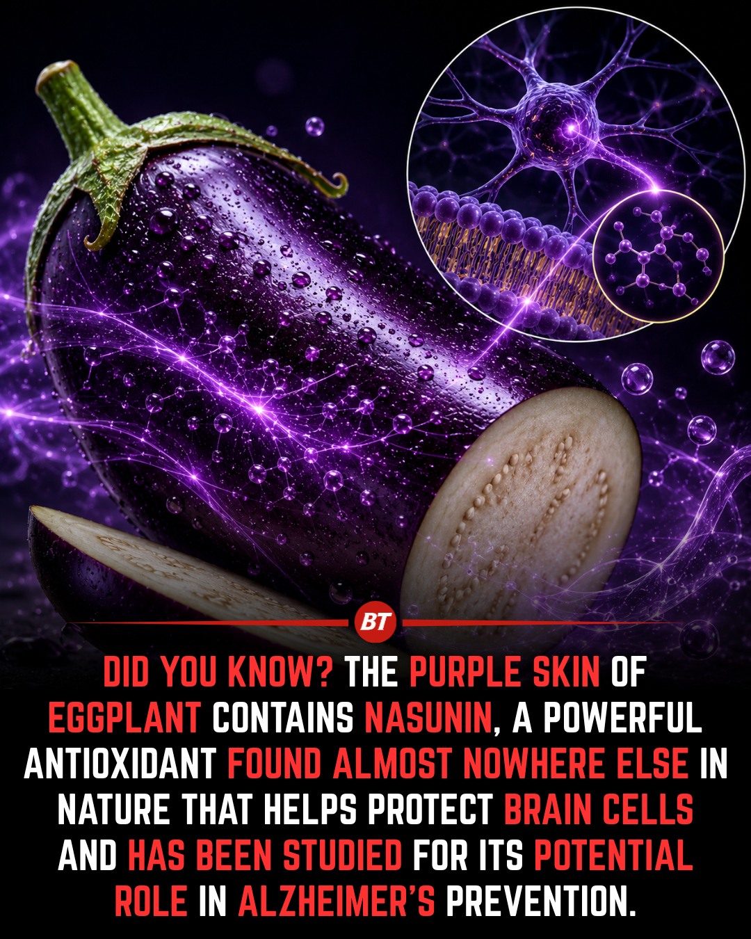 Eggplant Skin: The Hidden Source of Brain-Boosting Antioxidants