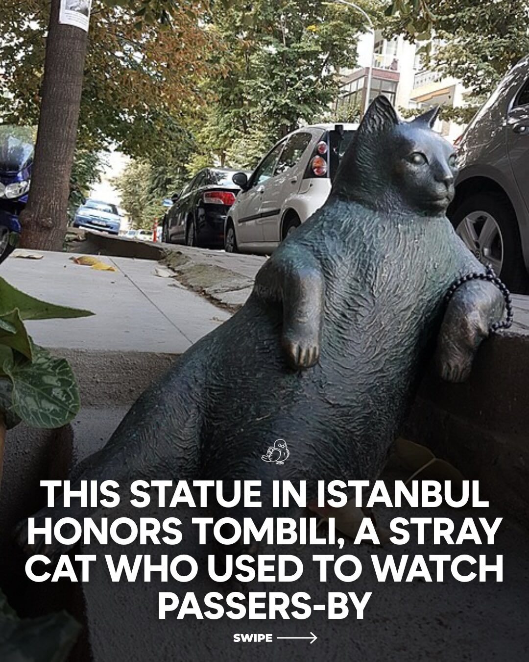 Discover Tombili, Istanbul's Beloved Cat Icon and His Statue